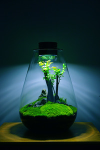Eco ball